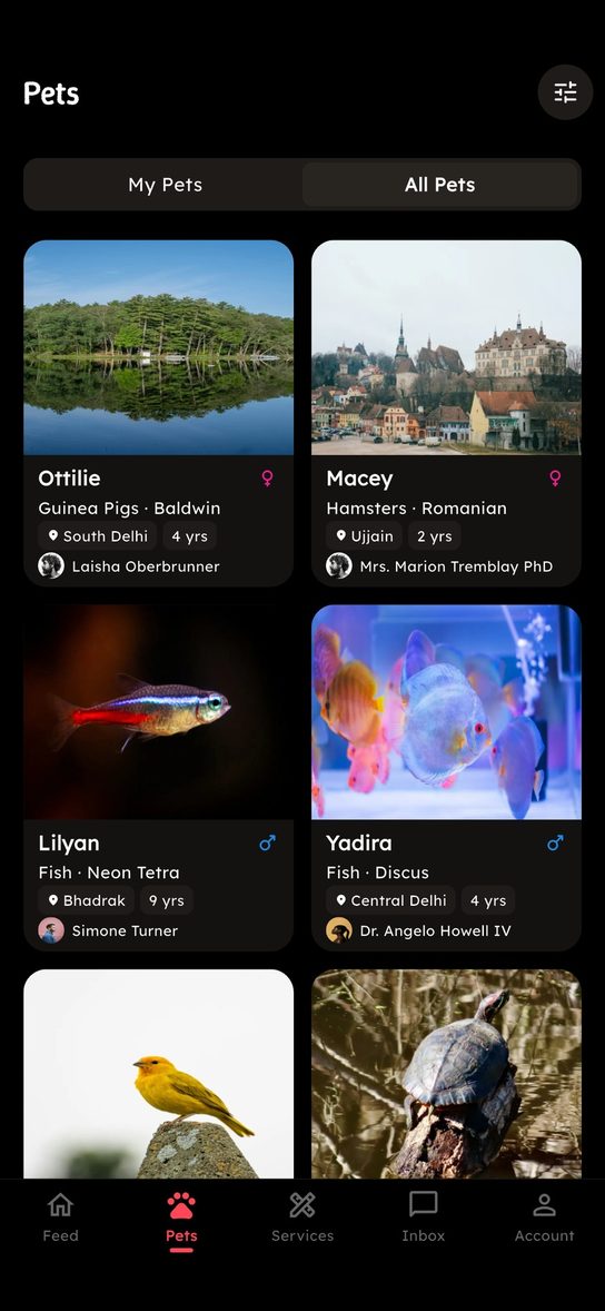 Petsmate app browsing pets by species, breed and city
